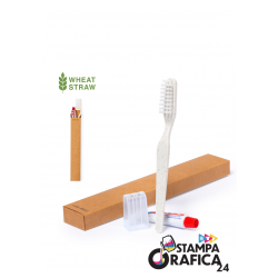 Set Dental Kit