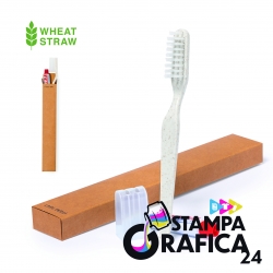 Set Dental Kit