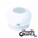 Cassa Rariax