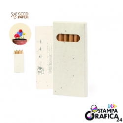 Set Matite con Semi Delar