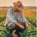 AGRICOLTURA